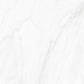  Clarke Shine White