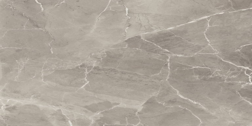 Elegant Greige Lux
