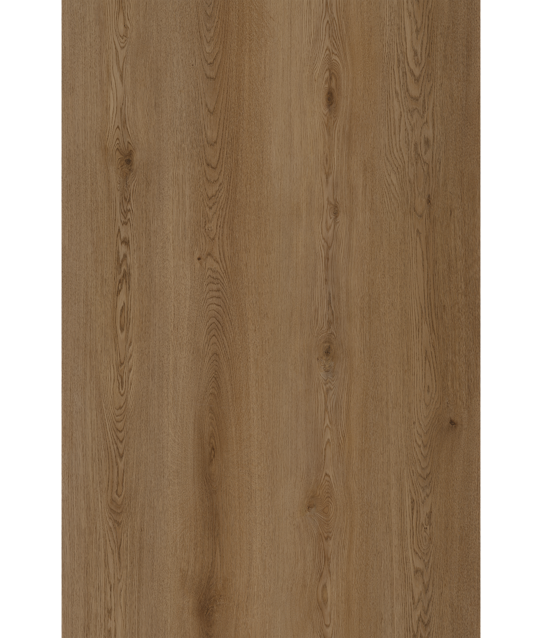 Tesun Oak (SPC)